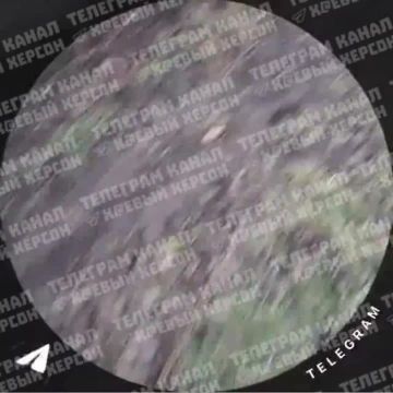 А на том берегу.... Правобережье Херсонщины: Оперативная информация с 06:00 25.02.2026 по 06:00 26.02.2026 —ХОВА За прошедшие сутки под ударами дронов, авиаударами и артобстрелами находились: Александровка, Антоновка...