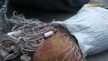 ������������ ������� ���������� ������� ��������� ���� ����������� � ������ �������� �� 32,5 ��� ������