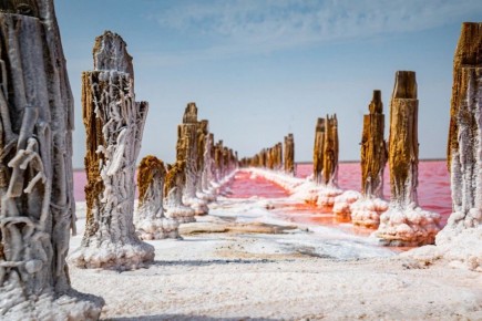 ������ ����, ����������!. ����������� ����� �� 2013 ����: ���������� ������ �������: