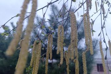 ������������� ����� � �������: ����� ����� ������ � ���������� ������� 26 ������� 2026 ����