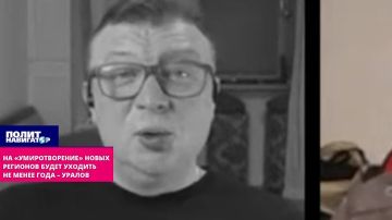 На «умиротворение» новых регионов уйдёт не менее года – Уралов