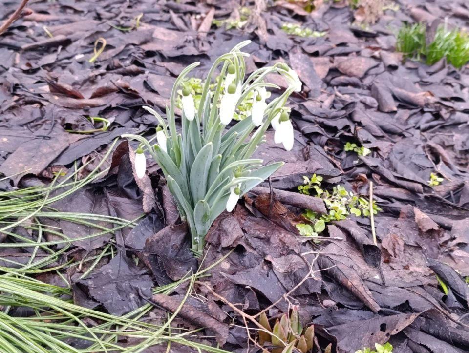 ������ ����, ������ ���������� �������������� ������!