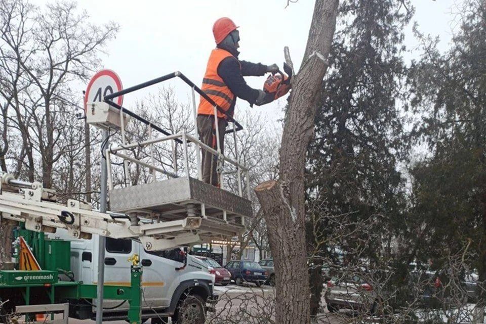 ������� ����� ������������ ����� � ���������� ������� � 2026 ����: ������ ������ ���������