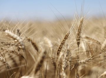 ������ ����� � ���������� �������� 3,7 ��� ���� � 2025 ���� ��� �������������� ��������� � 4,5 ��� ����