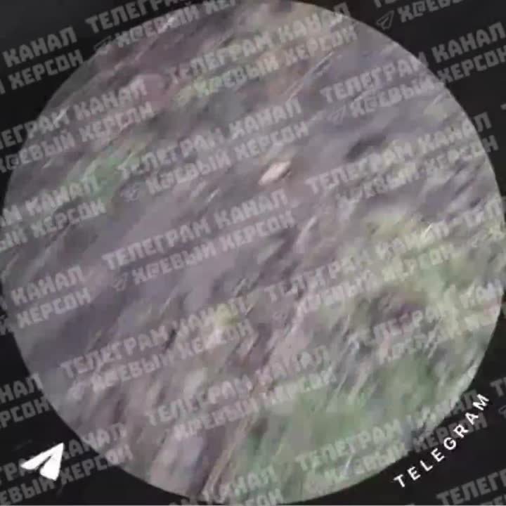 А на том берегу.... Правобережье Херсонщины: Оперативная информация с 06:00 25.02.2026 по 06:00 26.02.2026 —ХОВА За прошедшие сутки под ударами дронов, авиаударами и артобстрелами находились: Александровка, Антоновка...