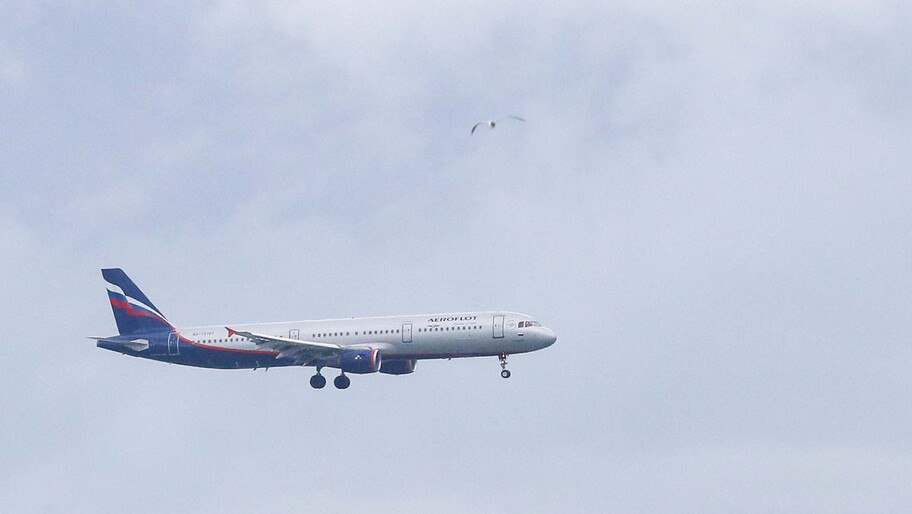 ГД одобрила возможность возврата средств за авиабилеты участникам СВО