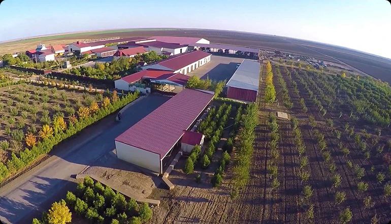 Херсонское предприятие, специализирующееся на производстве сыра, получило знак качества "Сделано в России"