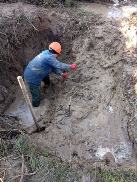 ����������� ����������� ��� ���������� ������ �� ���������� ������� � ������������ ������������ ��������������