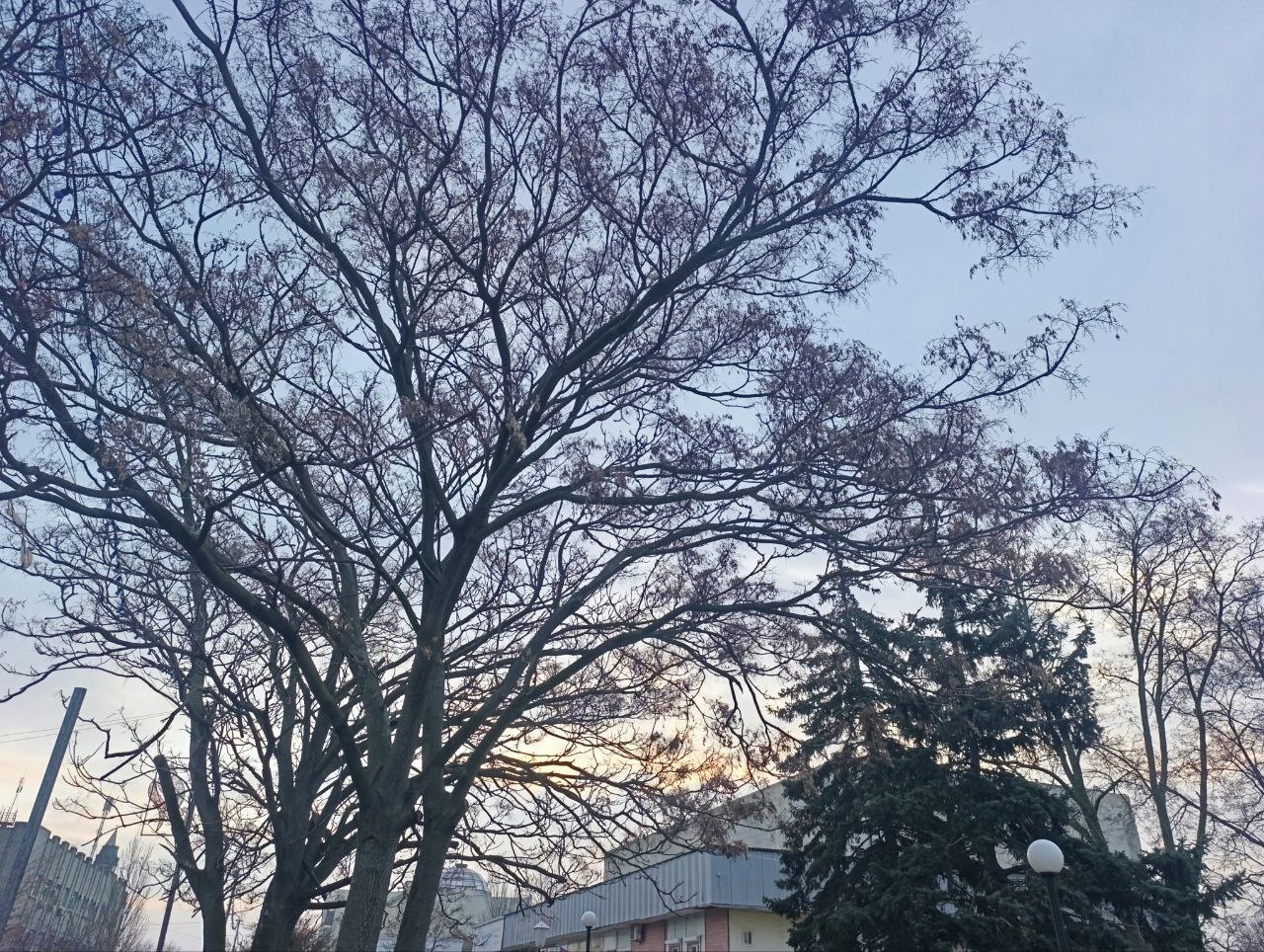 Юлия Семякина: Доброе утро, жители и гости Генического округа! Юлия Семякина: Доброе утро, жители и гости Генического округа!