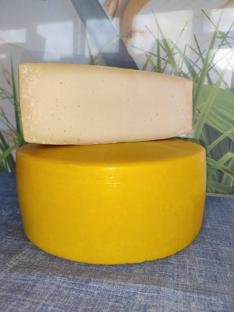 Херсонские сыры получили федеральный знак качества Херсонские сыры получили федеральный знак качества