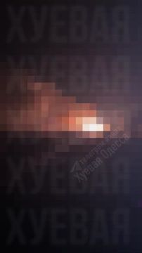 � ������� ���� 19 ��������