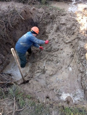 ����������� ����������� ��� ���������� ������ �� ���������� ������� � ������������ ������������ ��������������