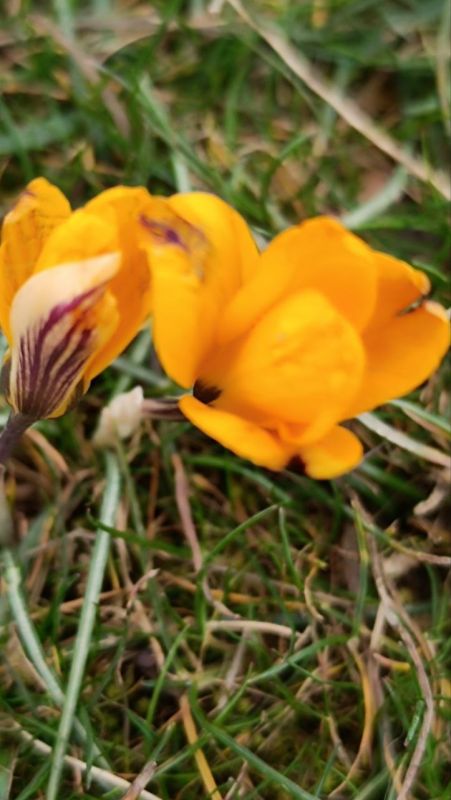 ������ ����, ������!. ��� � ��������� �� �������! ������ ������� ������, � ������� � ��������! ����� ���� ���� ������� ��� �����, ������ � �������� �������