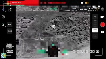 Наша артиллерия нанесла удар по позициям "Птахи Мадяра"