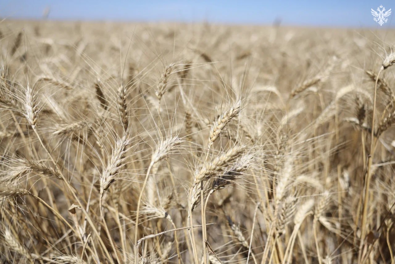 В Херсонской области засеют более 991 тысячи гектаров пашни в 2026 году