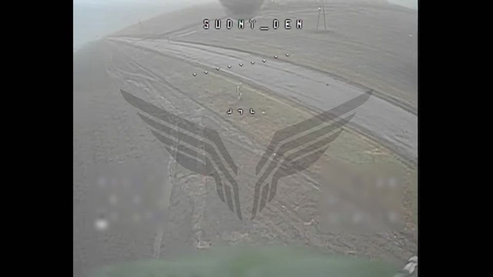 �������. ���������� � �������� ���������� ��������������� �1117 ��� ������������� ������������