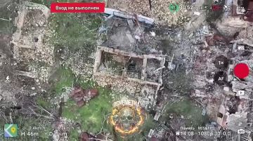 ��������� ������ ������������� "���������" 4-� ������� ���� ��� �� ������� ��� "�����" �������� � �������� ������� ����������� � ������� �������� ������������� ���������� � ������ �.�. ����������� �� ���������� �����������