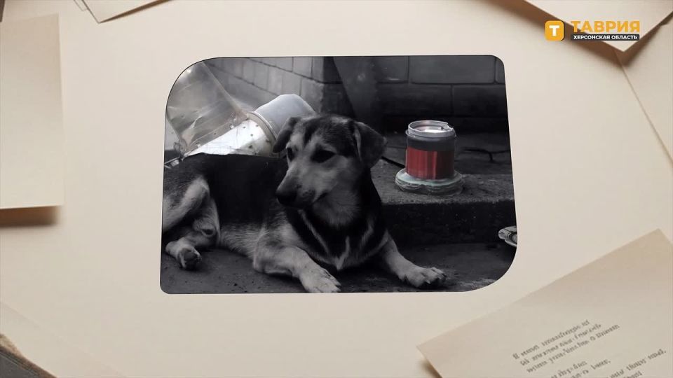 ������ ��������� �������� ������ �� �����������, ��������� ���� �������������, ��� ��� ��� ��� ���������