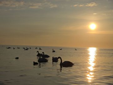 �� �����, ��� ������ � ���, �������, ��� ������ � ��� � ������