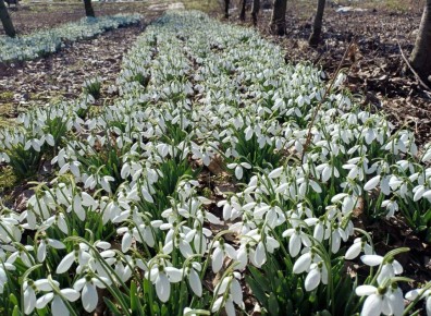 � ������ ���� �����!�. ����� ������ �������� ��� �������� �������� ���������� � ������������� ����� �� �������