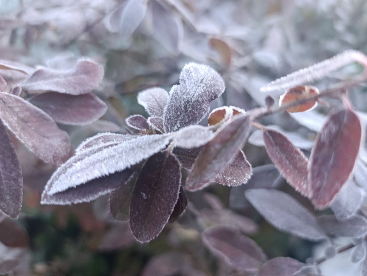 Юлия Семякина: Доброе утро, жители и гости Генического муниципального округа! Юлия Семякина: Доброе утро, жители и гости Генического муниципального округа!