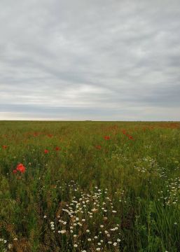 Доброе утро, Херсонщина!. Воздух дрожит-качается