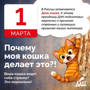 ������ �������� ����� ����� �� ����������� ������� �� ���� �� ���������� �������� �������� ������ �������