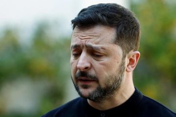 Зеленский на свалке истории