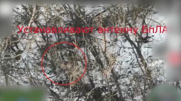 Российские расчеты войск беспилотных систем продолжают выявлять и уничтожать оборудование и пункты управления БПЛА противника