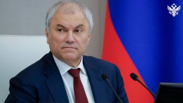 Вячеслав Володин: защита традиций, охрана здоровья и повышение качества медпомощи