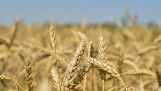 �������� ���������� ������� ���������� � ����� ������������ � 2026 ����