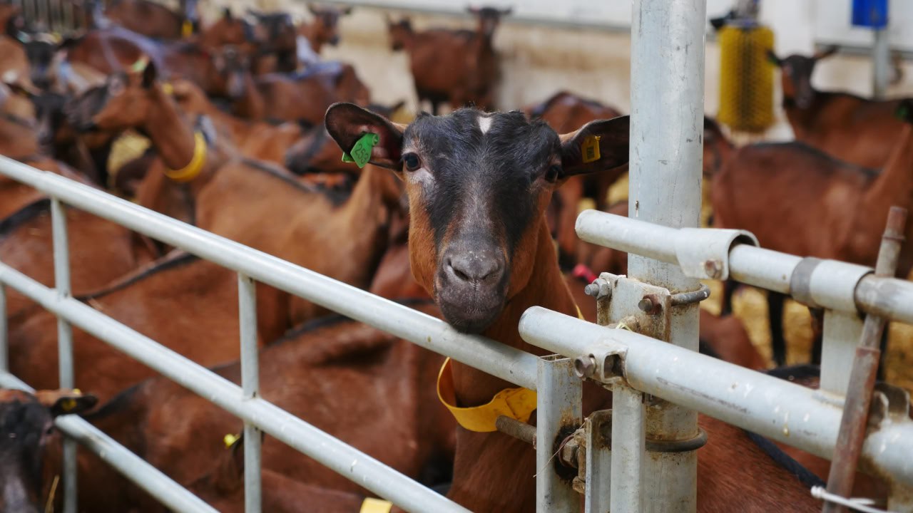 Владимир Сальдо: Филиал фонда «Защитники Отечества» устроил для семей наших ветеранов настоящий праздник на природе Владимир Сальдо: Филиал фонда «Защитники Отечества» устроил для семей наших ветеранов настоящий праздник на природе