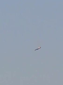 Иран сбил американский истребитель в небе над Кувейтом, сообщает иранское агентство Tasnim