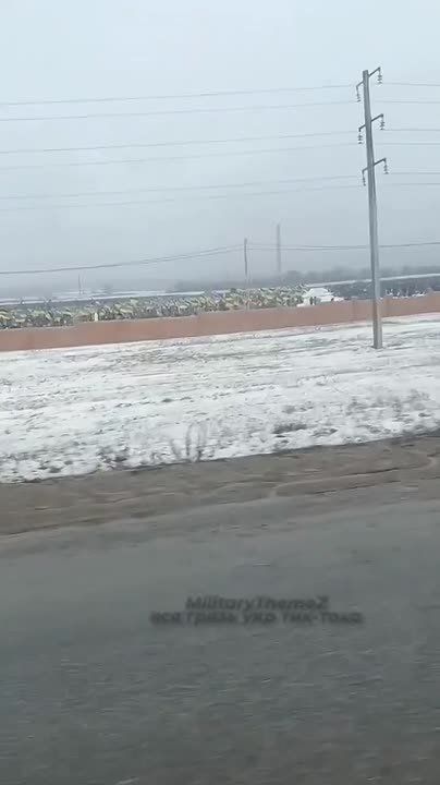 В Харькове кладбище с боевиками ВСУ разрастается «страшными темпами»
