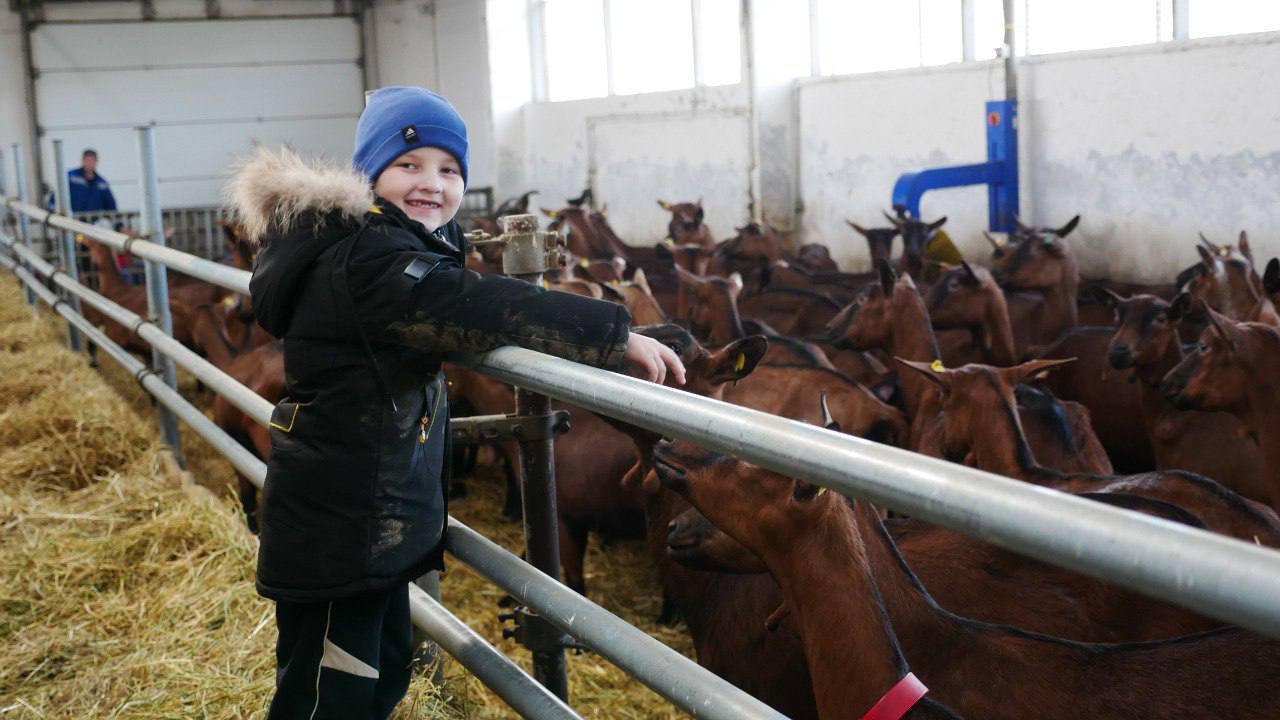 Семьи защитников Херсонщины посетили с экскурсией ферму альпийских коз Семьи защитников Херсонщины посетили с экскурсией ферму альпийских коз