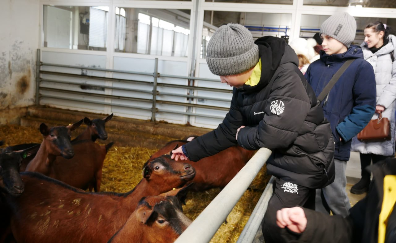 Владимир Сальдо: Филиал фонда «Защитники Отечества» устроил для семей наших ветеранов настоящий праздник на природе