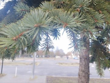 ���� ��������: ������ ����, ������ � ����� ����������� ������!