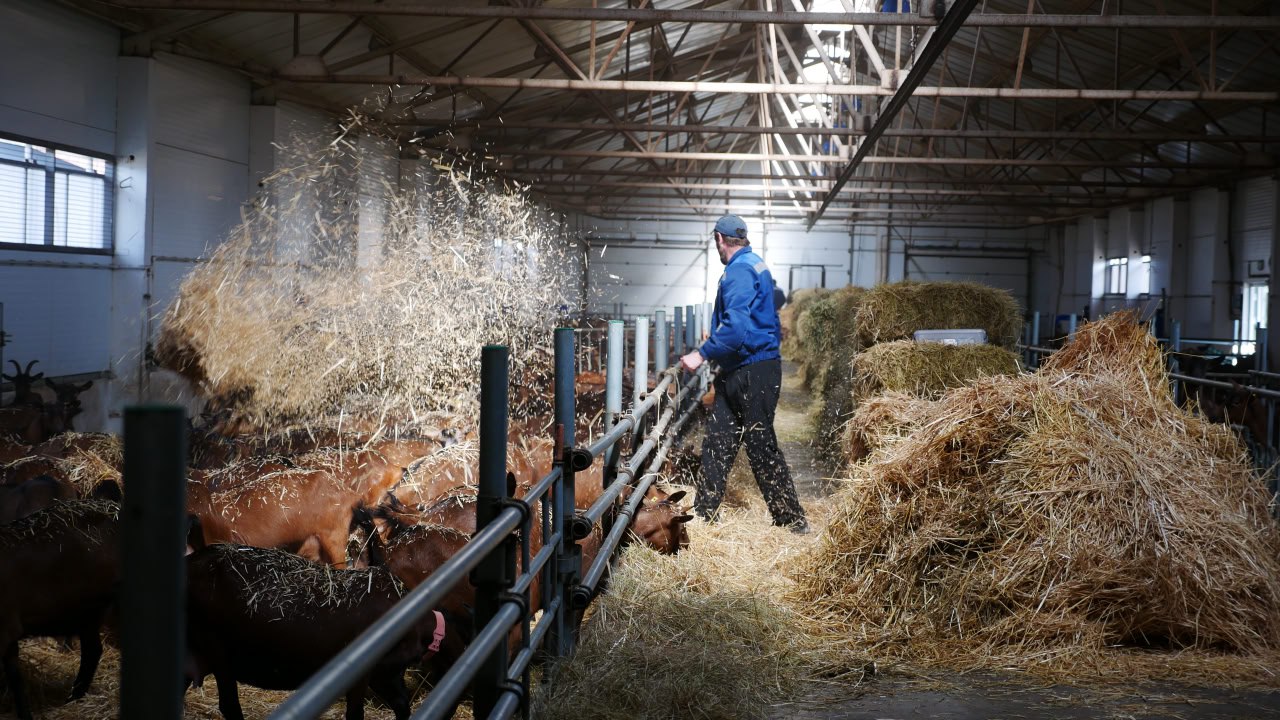 Владимир Сальдо: Филиал фонда «Защитники Отечества» устроил для семей наших ветеранов настоящий праздник на природе Владимир Сальдо: Филиал фонда «Защитники Отечества» устроил для семей наших ветеранов настоящий праздник на природе