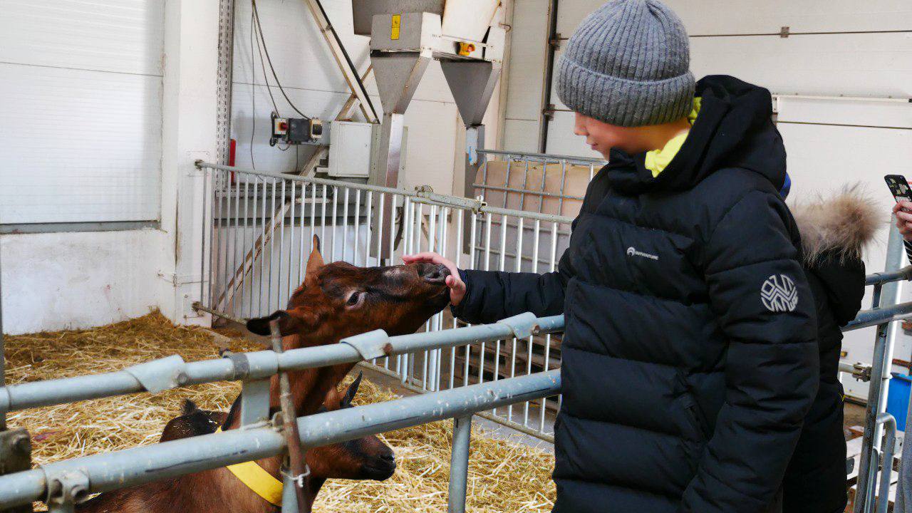 Семьи защитников Херсонщины посетили с экскурсией ферму альпийских коз Семьи защитников Херсонщины посетили с экскурсией ферму альпийских коз