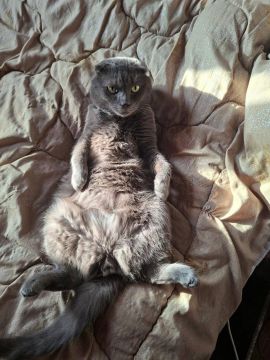 ������ � �� �������. ������, ����� �� ���� ����� ������������� �������� �������