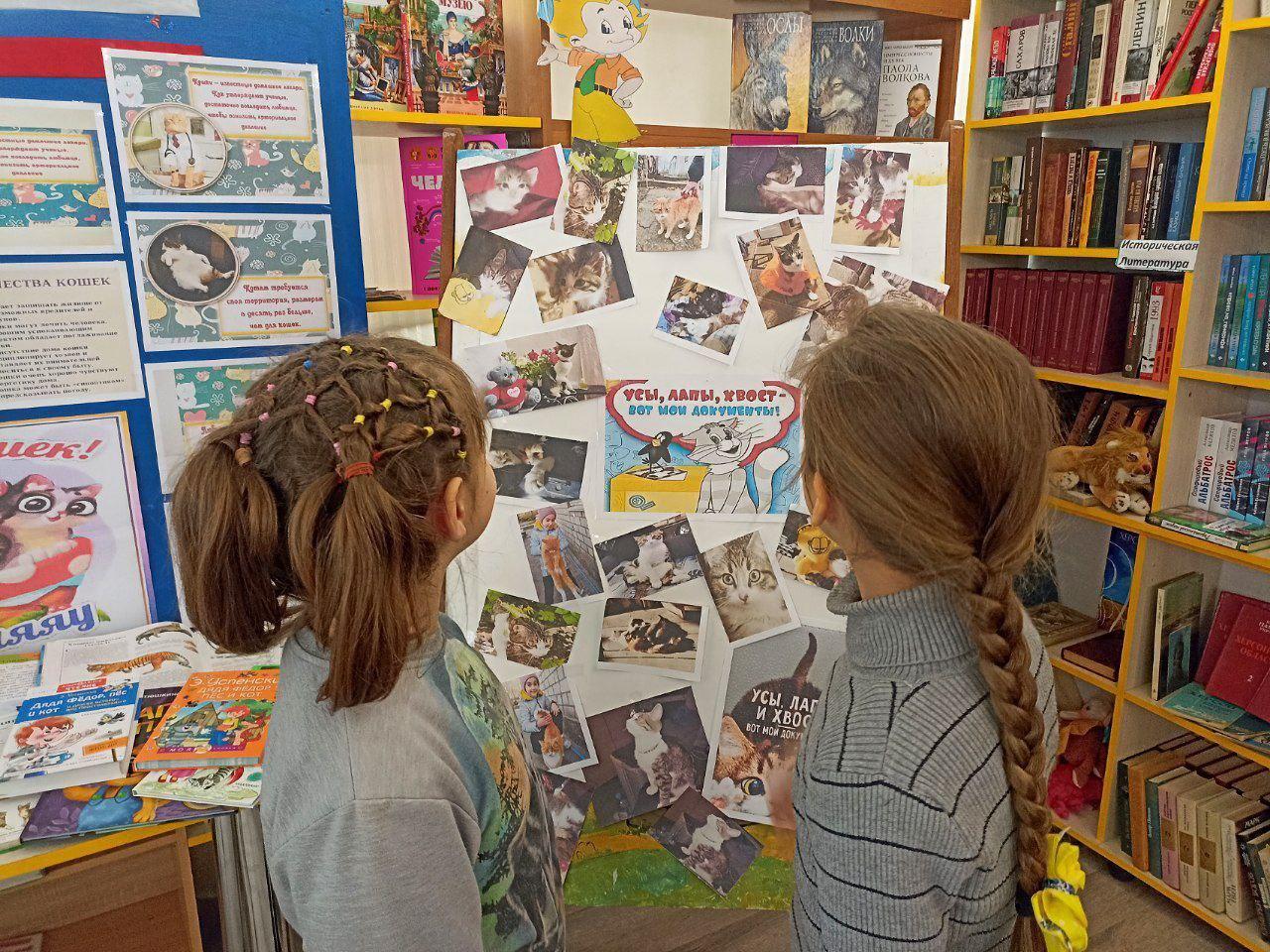 День кошек: мурлыкающий праздник прошел в Любимовской библиотеке День кошек: мурлыкающий праздник прошел в Любимовской библиотеке