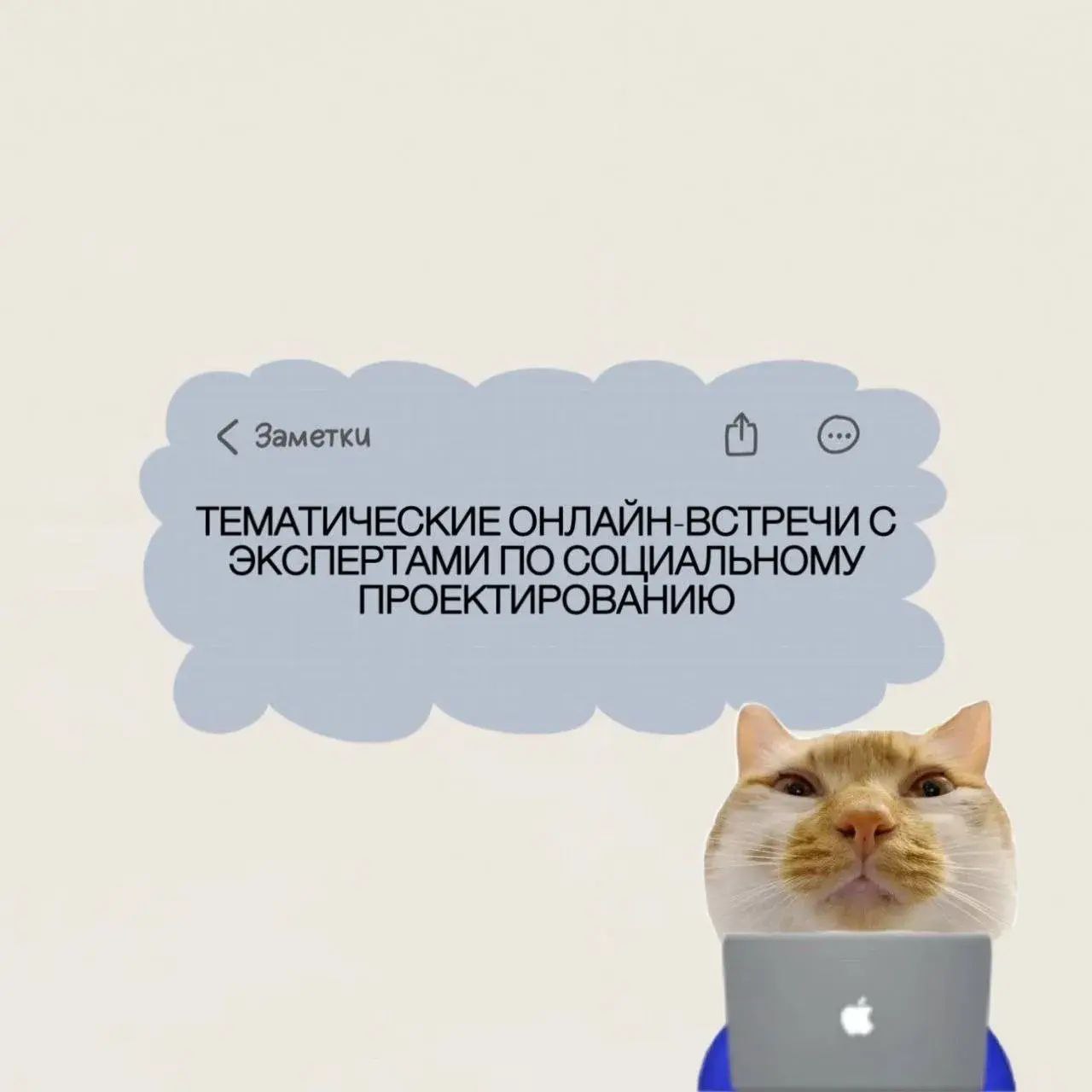 Готовишь проект на Росмолодёжь.Гранты? Тогда это для тебя