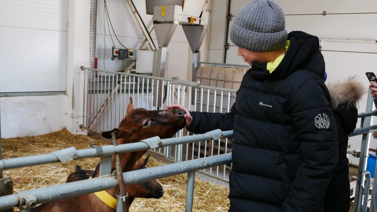 Владимир Сальдо: Филиал фонда «Защитники Отечества» устроил для семей наших ветеранов настоящий праздник на природе Владимир Сальдо: Филиал фонда «Защитники Отечества» устроил для семей наших ветеранов настоящий праздник на природе