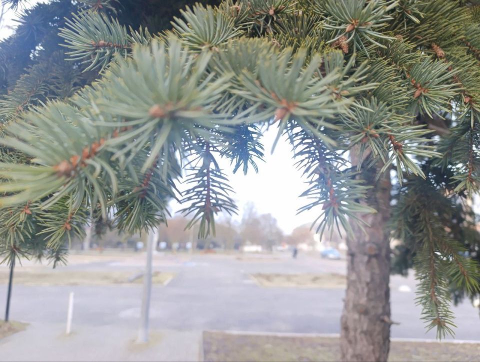 ���� ��������: ������ ����, ������ � ����� ����������� ������!