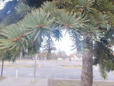 ���� ��������: ������ ����, ������ � ����� ����������� ������!