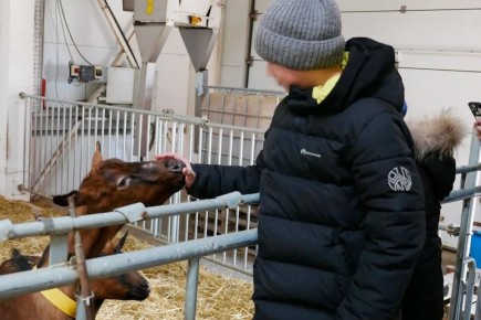 ���� ���������� ��� �������� ������������� ���������� � ������� ���������� ���