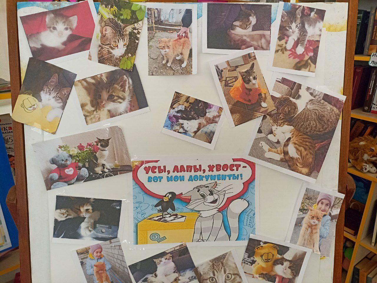 День кошек: мурлыкающий праздник прошел в Любимовской библиотеке День кошек: мурлыкающий праздник прошел в Любимовской библиотеке