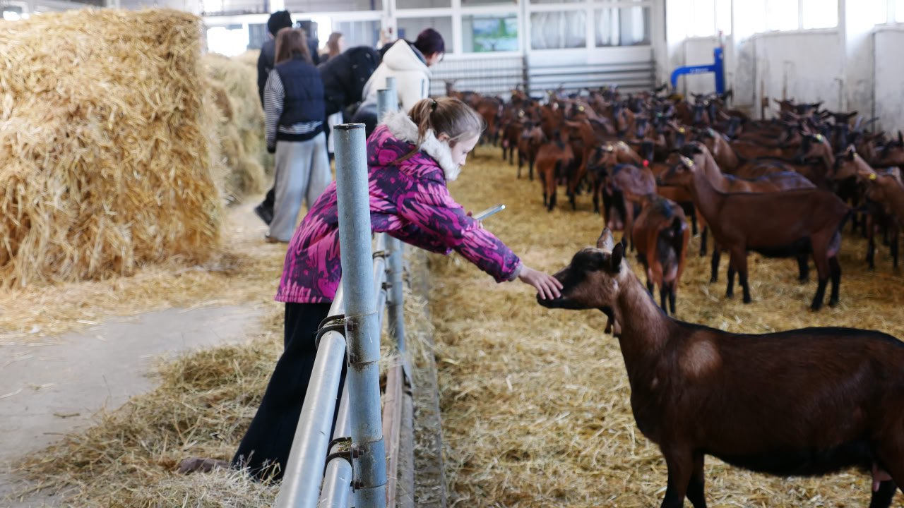 Филиал фонда "Защитники Отечества" организовал поездку на ферму альпийских коз и сыроварню для семей ветеранов СВО из Херсонской области Филиал фонда "Защитники Отечества" организовал поездку на ферму альпийских коз и сыроварню для семей ветеранов СВО из Херсонской области
