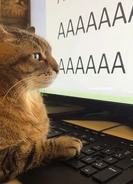 ���������� ���� ����. #���� @NSDVKhersone �����������