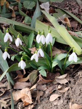 Доброго утра, друзья! Надежды на лучшее и оптимизма не смотря ни на что
